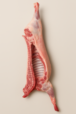 نص خروف روماني