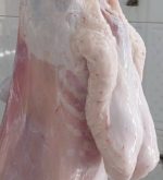 لية خروف بلدي