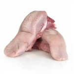 لسانات مع حنك (لغلوغ)