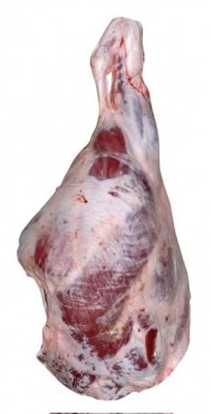 كيلو عجل بلدي